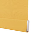 Alvin Basic Premium Blackout Cordless Roller Blinds-?-TWOPAGES