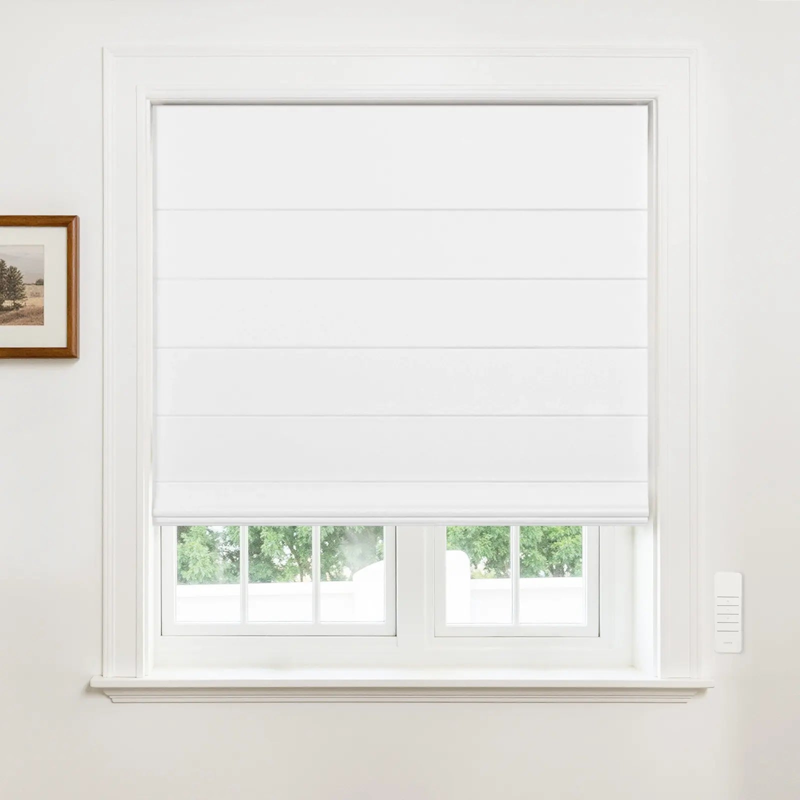 Alvin Motorized Waterproof Blackout Roller Blind?-TWOPAGES