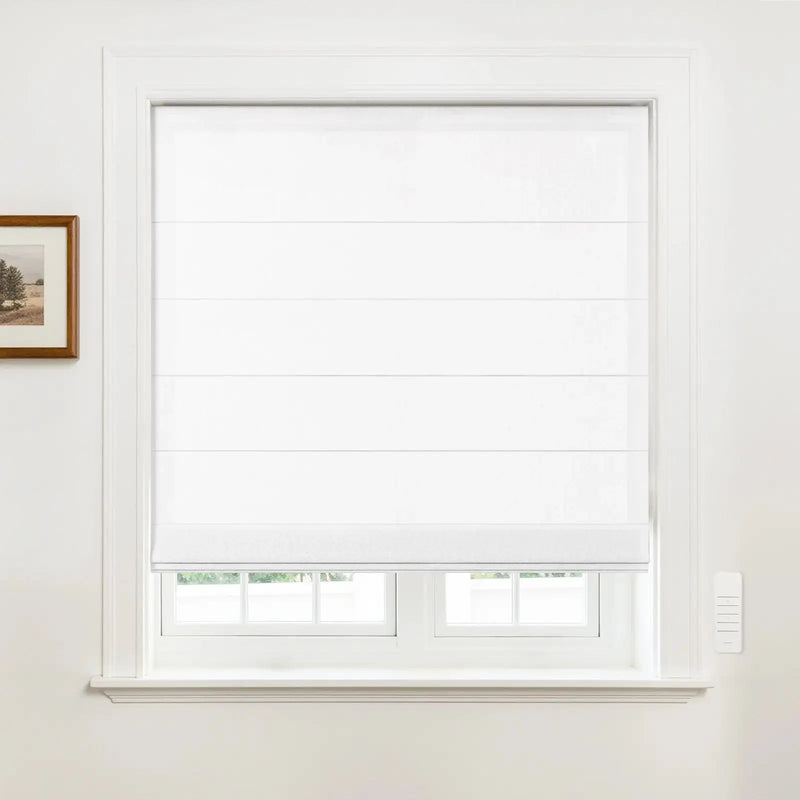 Alvin Motorized Sheer Room Darkening Roller Blind?-TWOPAGES