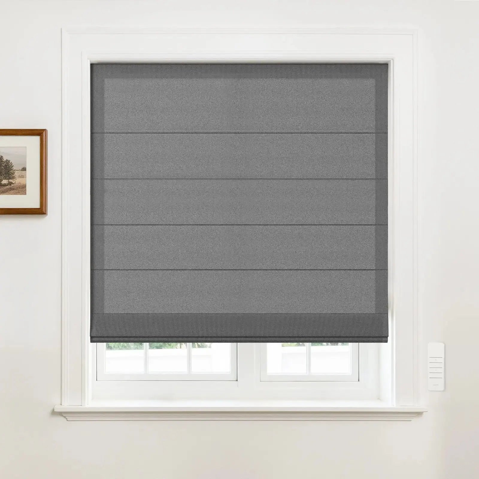 Alvin Motorized Sheer Room Darkening Roller Blind?-TWOPAGES