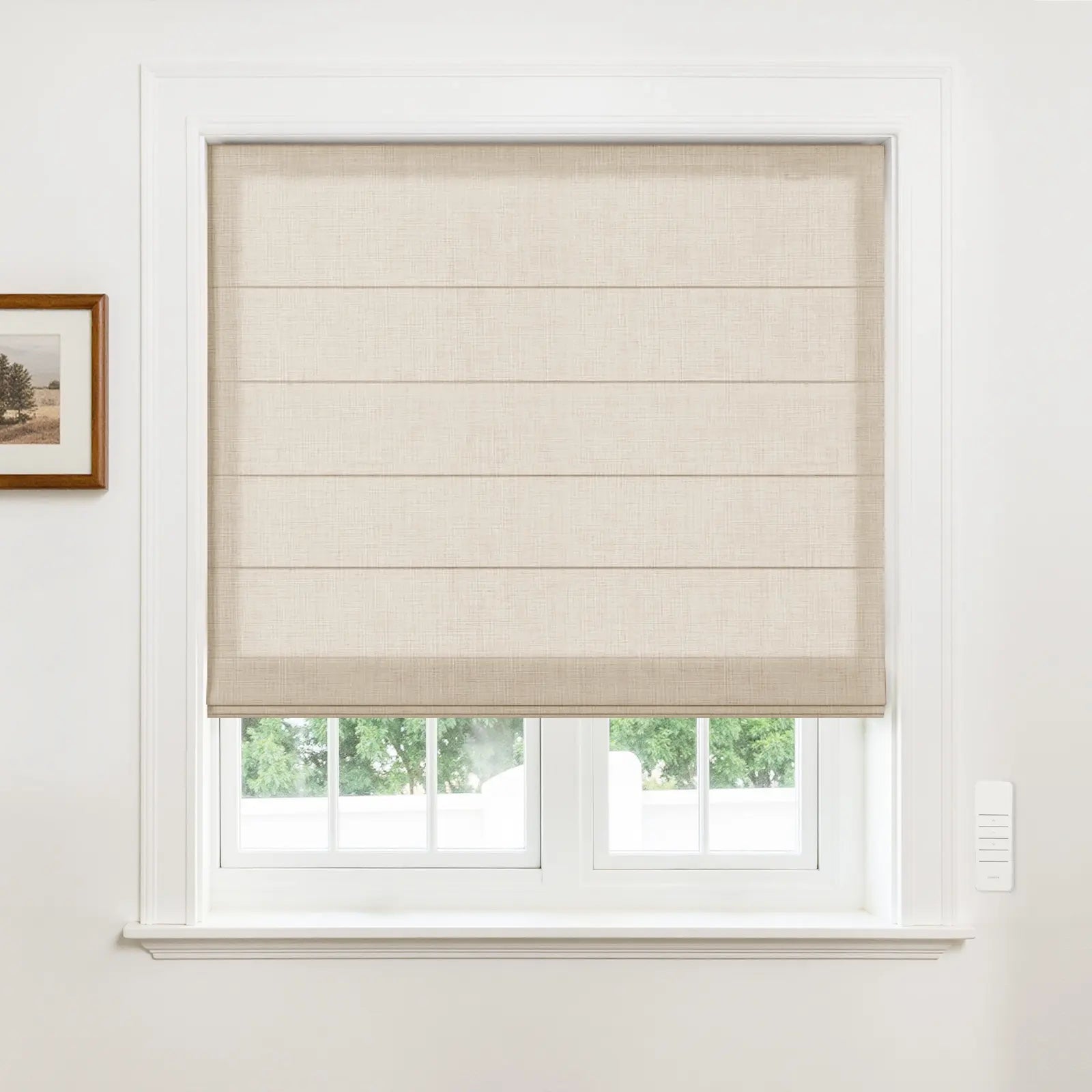 Alvin Motorized Sheer Room Darkening Roller Blind?-TWOPAGES