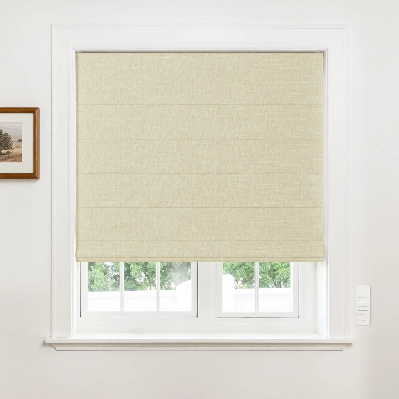 Alvin Motorized Blackout Boutique Roller Blind?-TWOPAGES