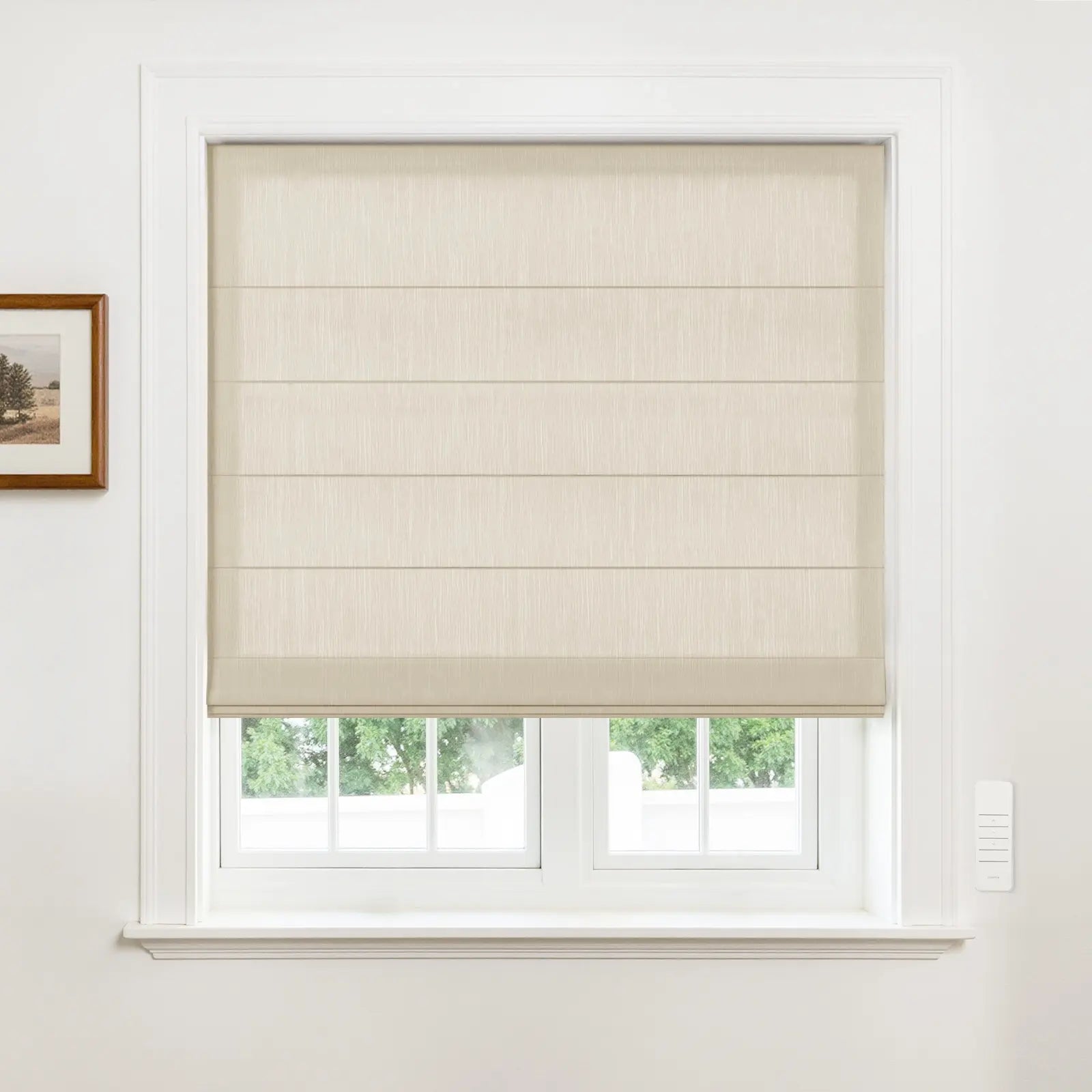Alvin Motorized Sheer Room Darkening Roller Blind?-TWOPAGES