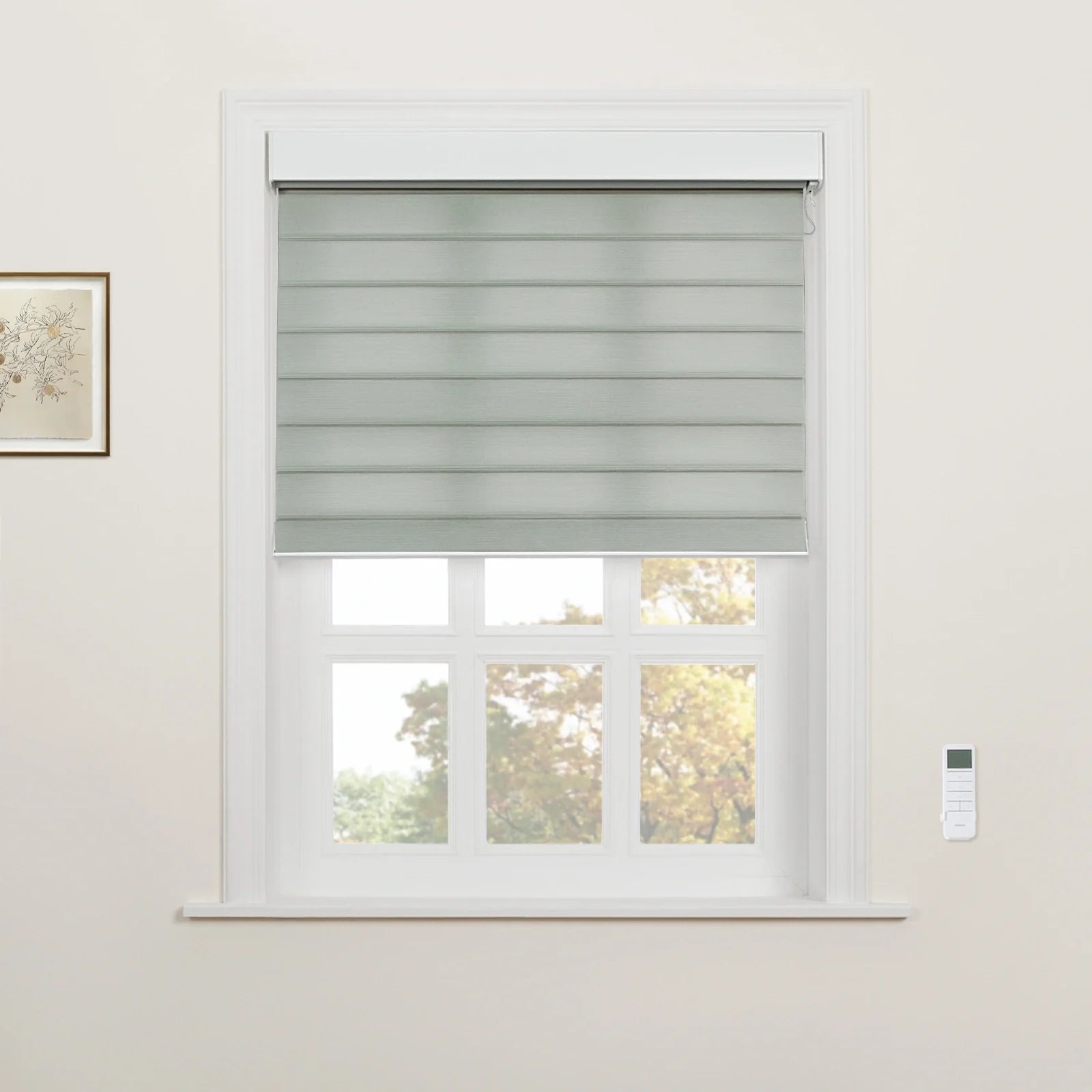 A mint green layered zebra Blind partially covers a white window frame and trim overlooking autumnal trees, with a wall-mounted white remote control visible