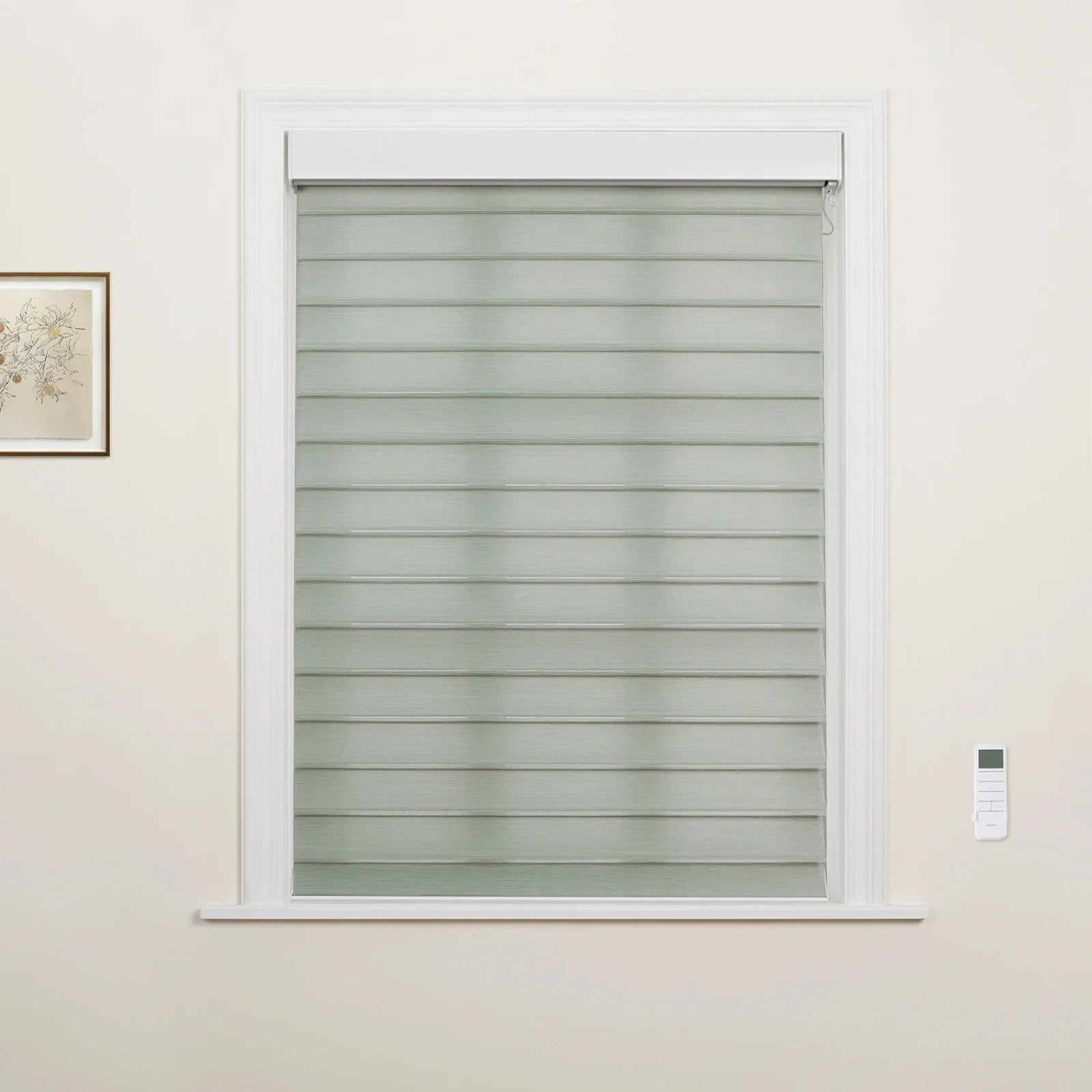 Photograph of a window in an interior room featuring gray-green banded zebra roller Blinds, a white remote control mounted on the right wall, and a small framed botanical artwork on the left wall