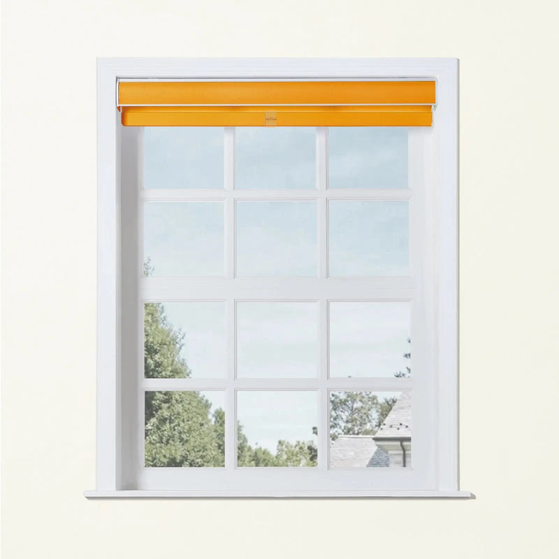 Alvin Basic Room Darkening Cordless Roller Blinds-?-TWOPAGES