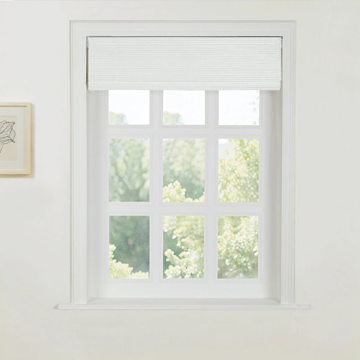 Rae Natural Ramie Jute Woven Wood Shades - Series W