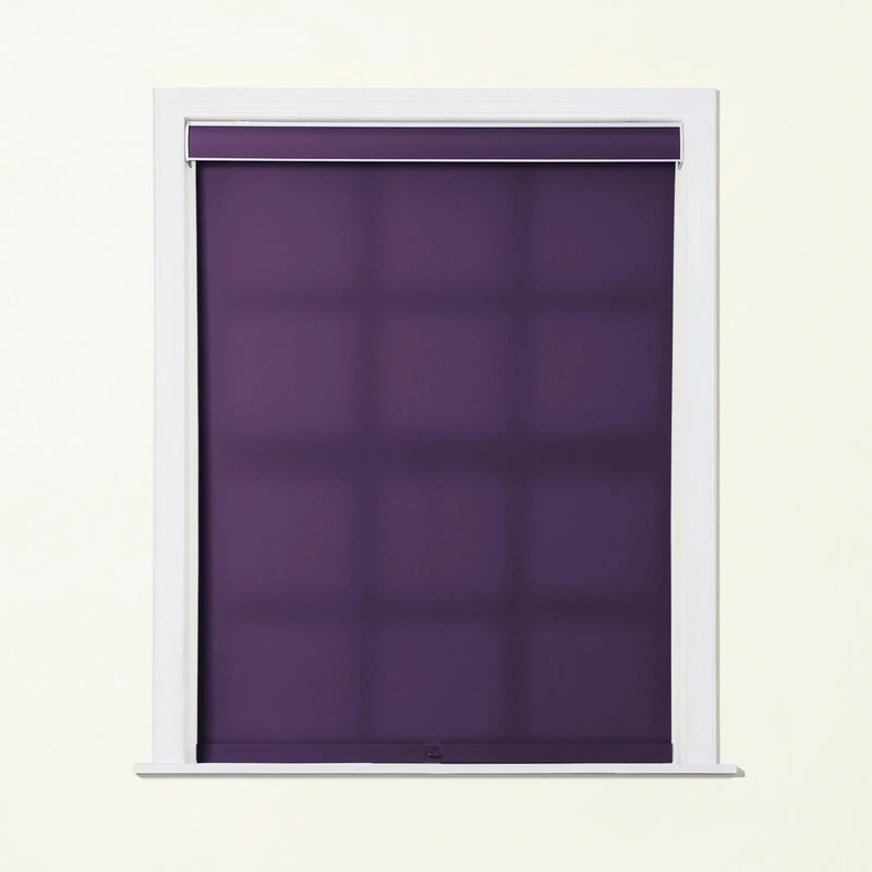 Alvin Basic Room Darkening Cordless Roller Blinds-?-TWOPAGES