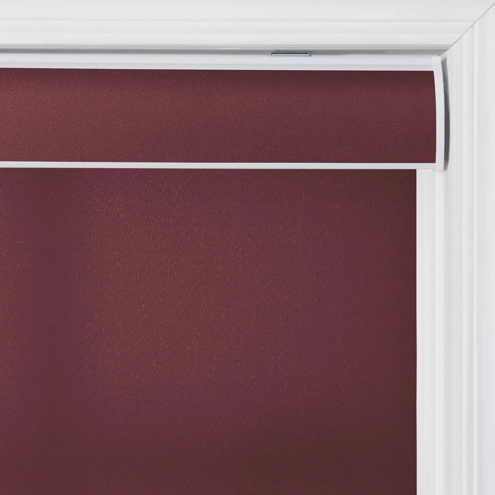 Alvin Basic Room Darkening Cordless Roller Blinds-?-TWOPAGES