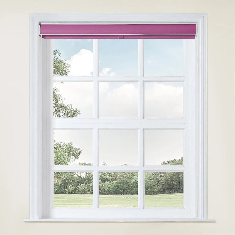 Alvin Waterproof Blackout Cordless Roller Blinds-?-TWOPAGES