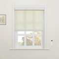 Interior scene featuring cream-colored sheer horizontal window Blinds partially drawn over a white six-pane window with autumn trees visible outside, a small framed botanical sketch on the left wall, and a white remote control mounted on the right wall