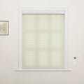 A creamy beige motorized zebra window Blind with sheer and opaque stripes in a white-trimmed window, complemented by a wall-mounted remote control and a small framed botanical print