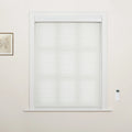 Photograph of an interior room window featuring a white zebra roller Blind, a wall-mounted remote control, and a framed botanical print on the adjacent wall