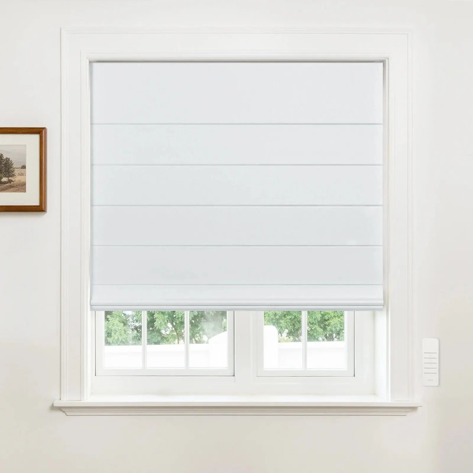 Alvin Motorized Waterproof Blackout Roman Blind?-TWOPAGES