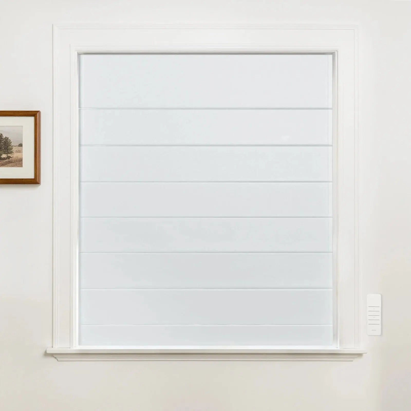 Alvin Motorized Waterproof Blackout Roman Blind?-TWOPAGES