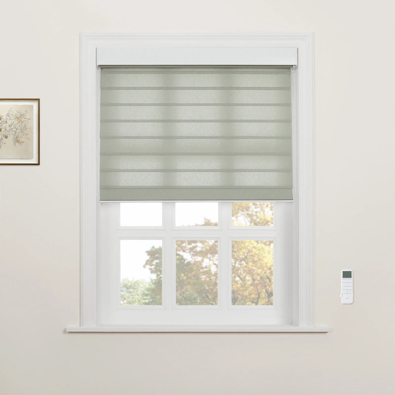 Light grey striped transitional window Blind partially lowered over a white multi-pane window revealing autumn trees outside with a framed botanical print on the left and a wall-mounted remote control on the right