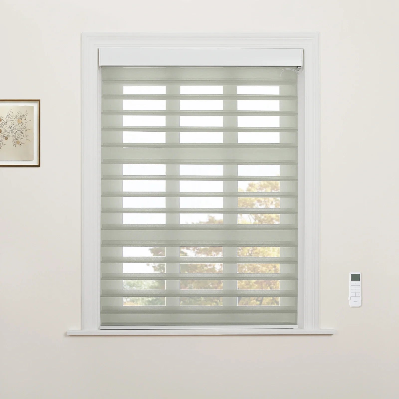 A window in an interior room featuring light grey sheer and solid layered zebra Blinds, a white wall-mounted remote control to the right, and a framed botanical art print on the left wall with autumn trees visible outside