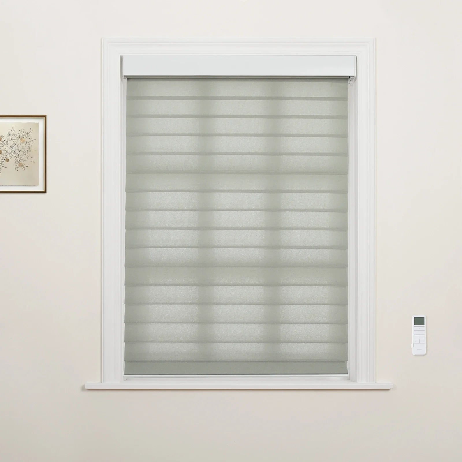 A window featuring modern grey layered zebra Blinds within a white frame, accompanied by a white wall-mounted remote control and a small framed botanical art print