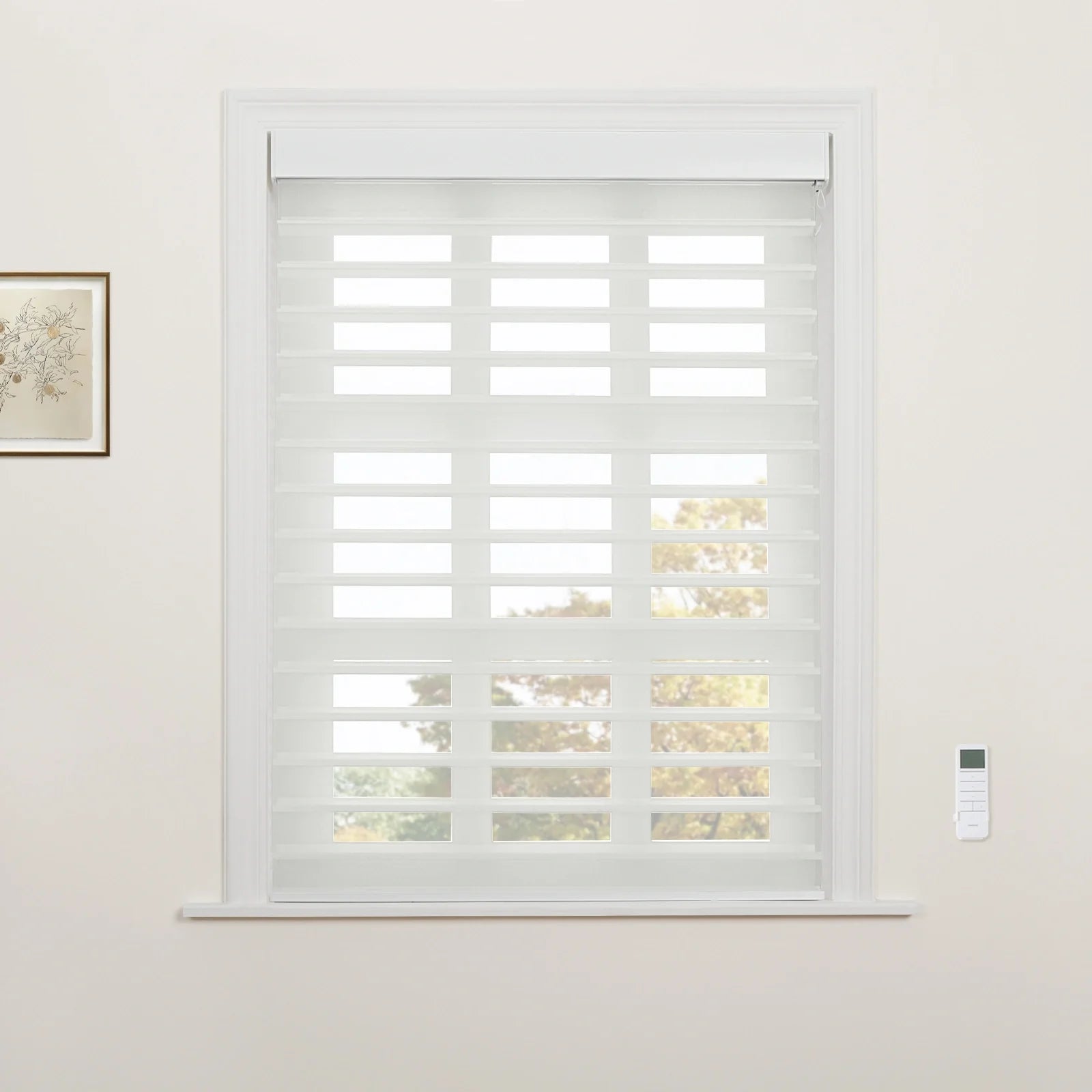 White layered zebra roller Blinds cover a window with white trim, flanked by a framed botanical art print on the left and a white remote control on the right, providing a filtered view of autumn trees