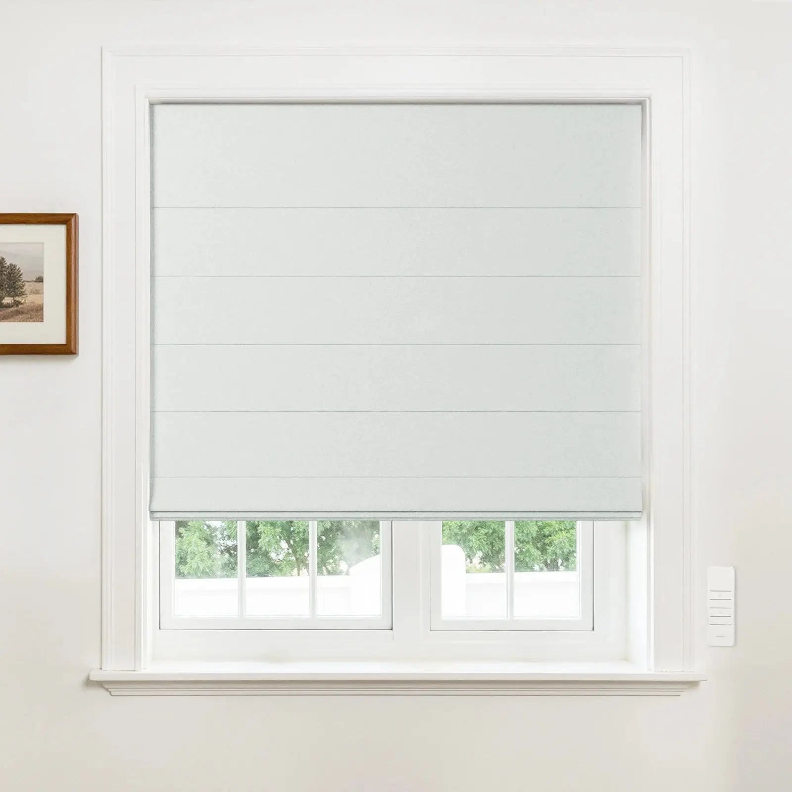Alvin Motorized Blackout Boutique Roman Blind?-TWOPAGES