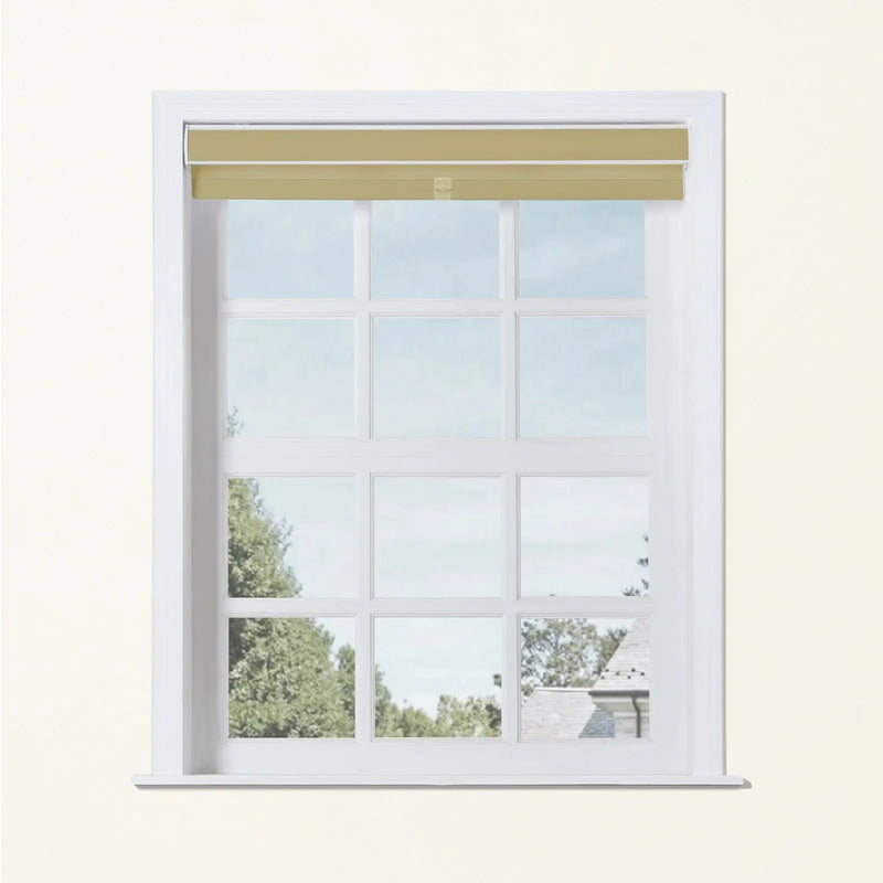 Alvin Basic Room Darkening Cordless Roller Blinds-?-TWOPAGES