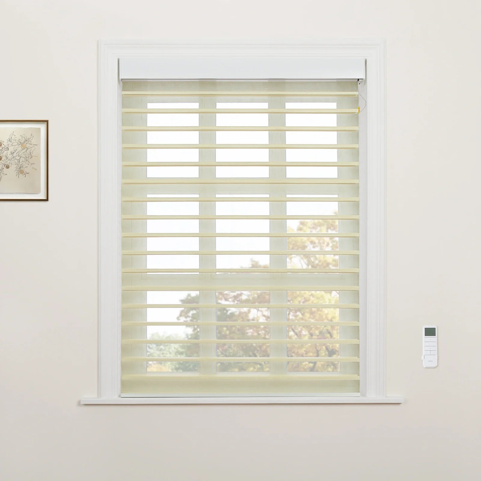 Interior photograph of a window showcasing creamy beige zebra roller Blinds, a white remote control on the adjacent wall, and a framed botanical print to the left, with blurred autumn trees visible beyond
