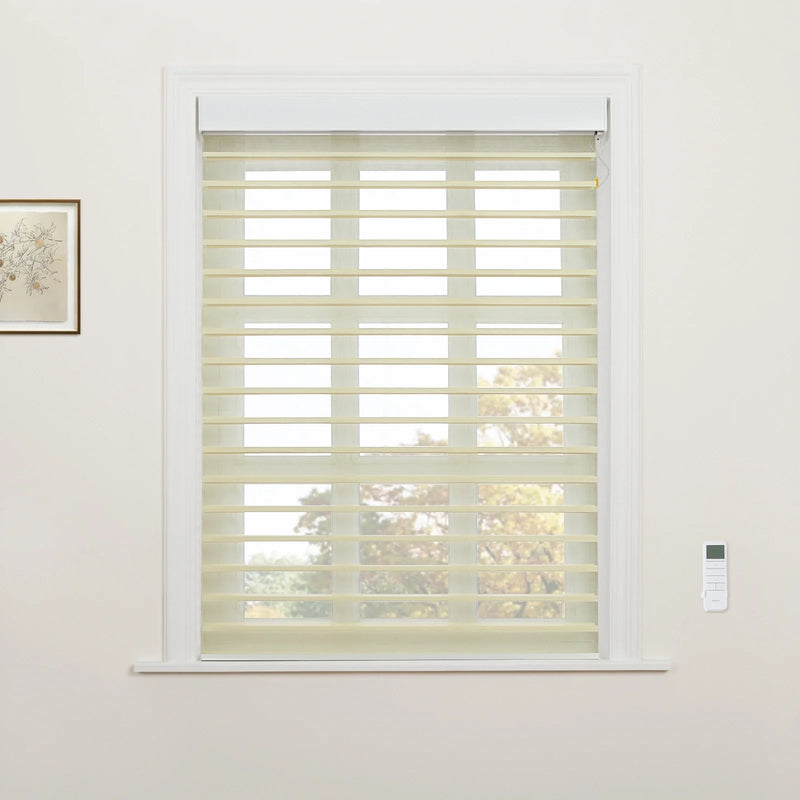 Interior photograph of a window showcasing creamy beige zebra roller Blinds, a white remote control on the adjacent wall, and a framed botanical print to the left, with blurred autumn trees visible beyond