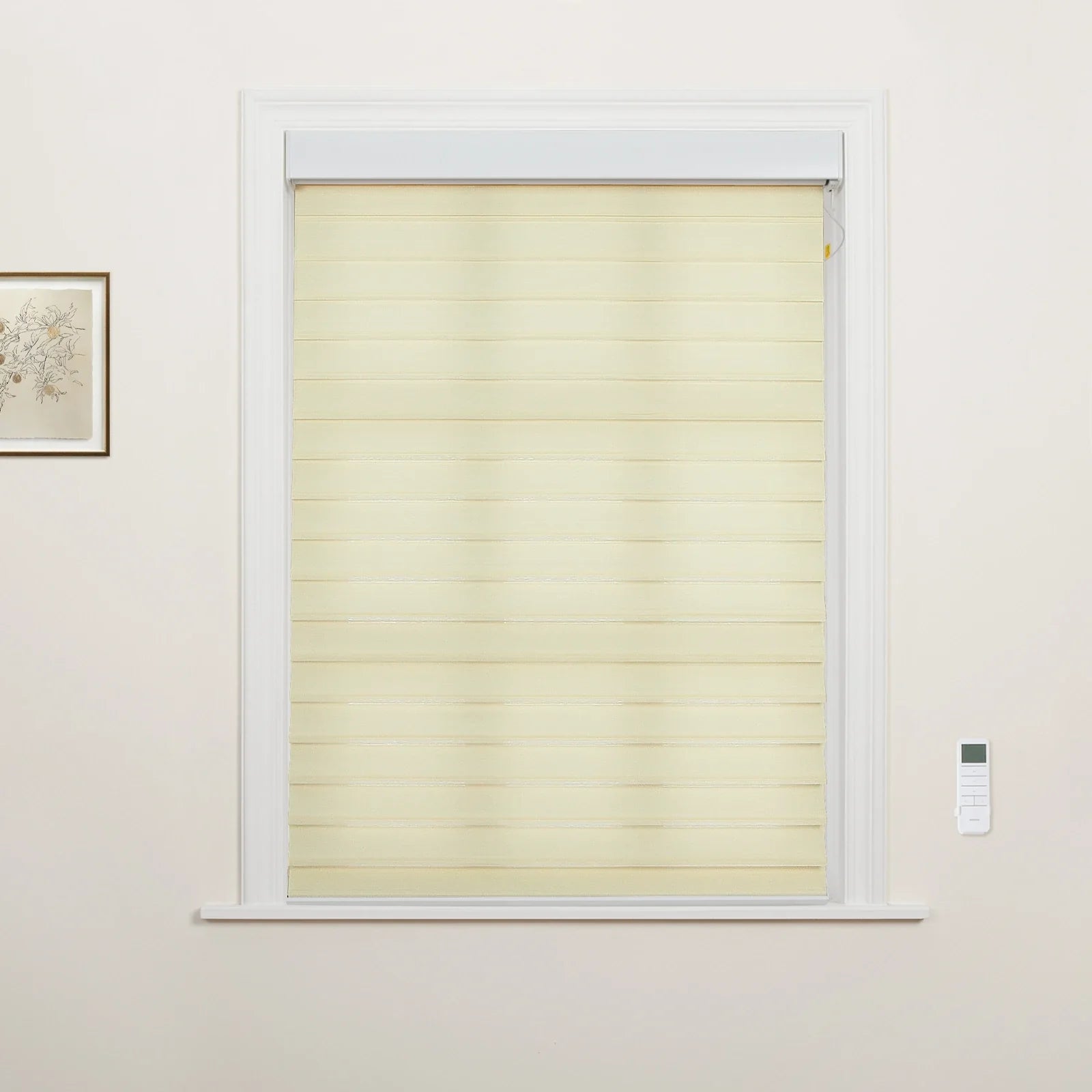 Light cream and sheer striped zebra Blinds in a white-framed window of an interior room, with a small framed botanical print on the left wall and a white wall-mounted remote control on the right