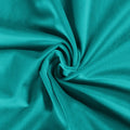 Birkin Velvet Curtain Pleated -TWOPAGES
