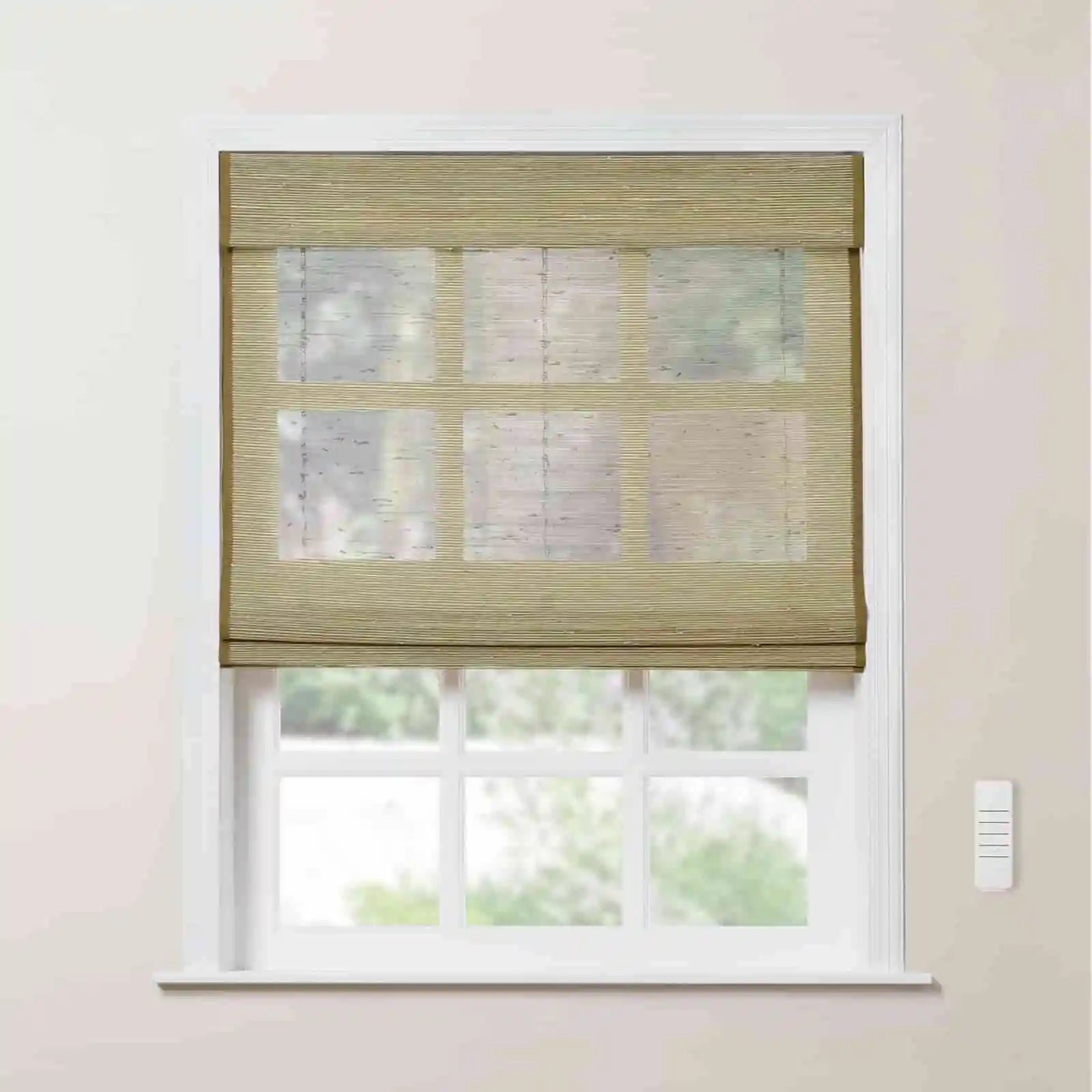Rae Motorized Window Blinds Bamboo Woven - Series P-TWOPAGES