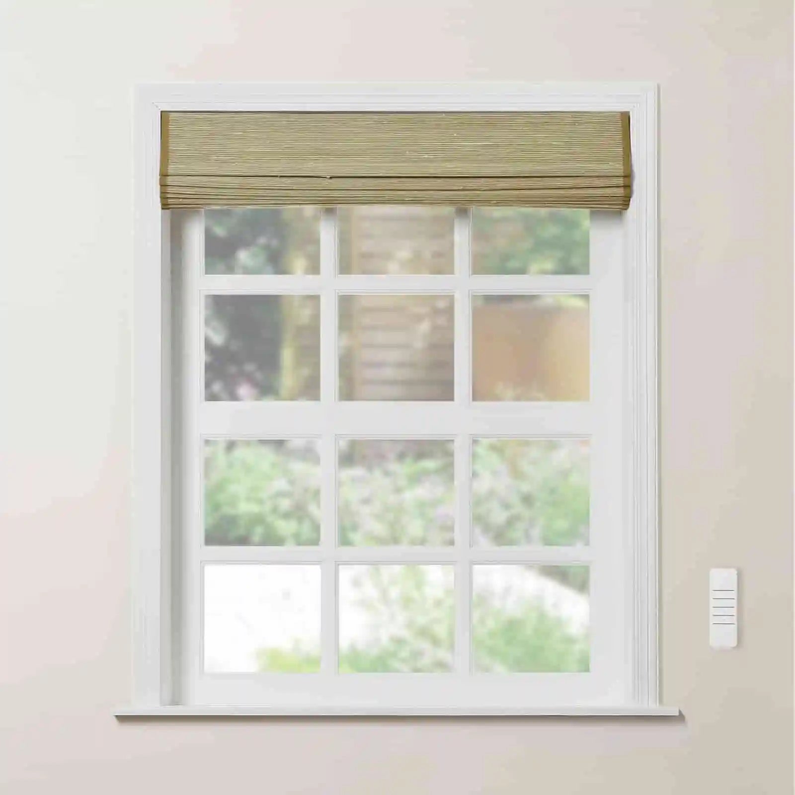 Rae Motorized Window Blinds Bamboo Woven - Series P - TWOPAGES