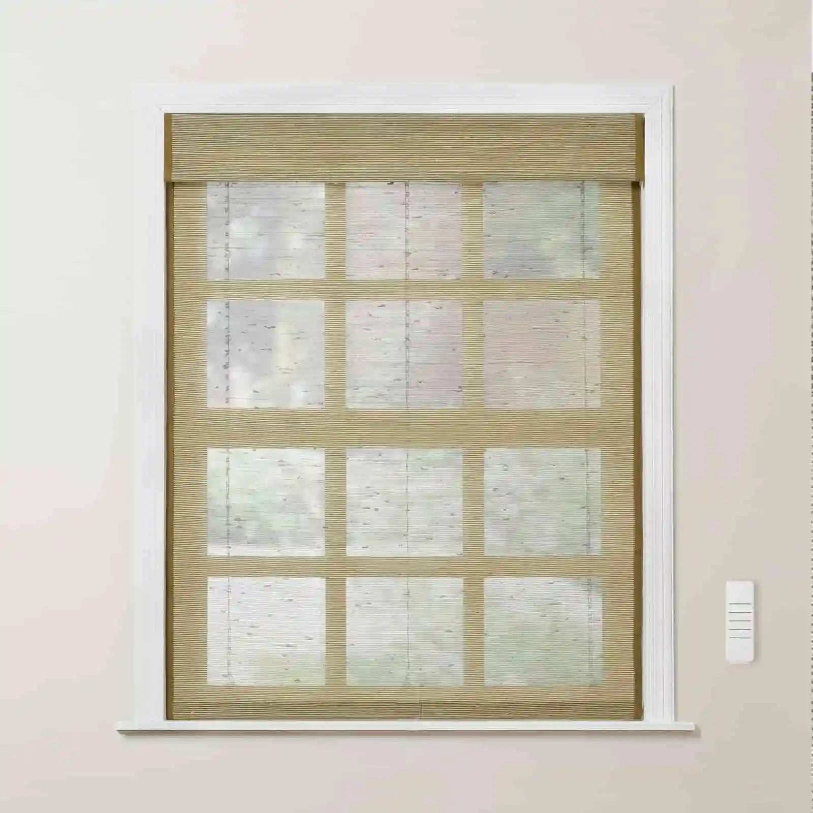 Rae Motorized Window Blinds Bamboo Woven - Series P - TWOPAGES