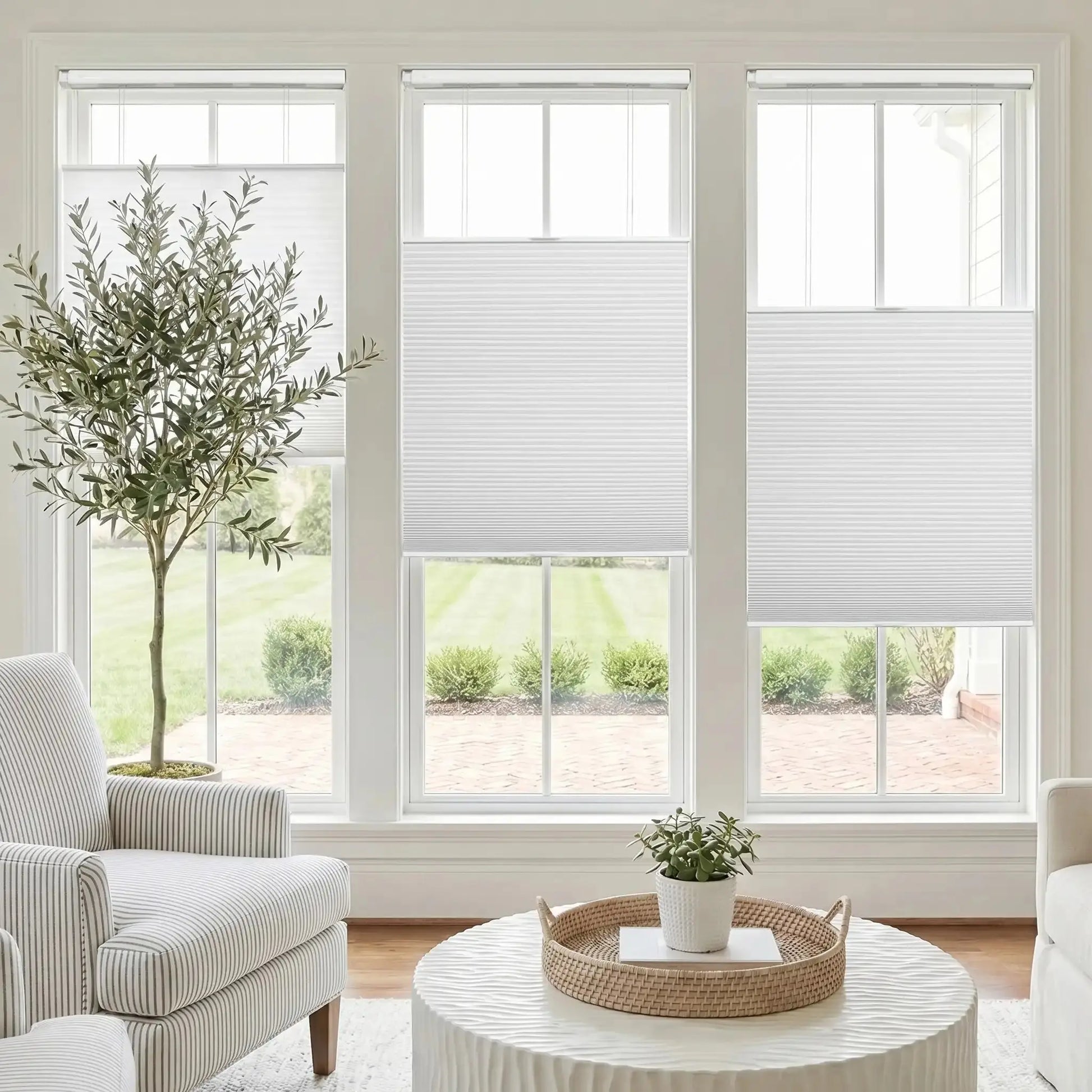 Aura No-Drill Top Down Bottom Up Blackout Cellular Window Blinds Cordless-?-TWOPAGES