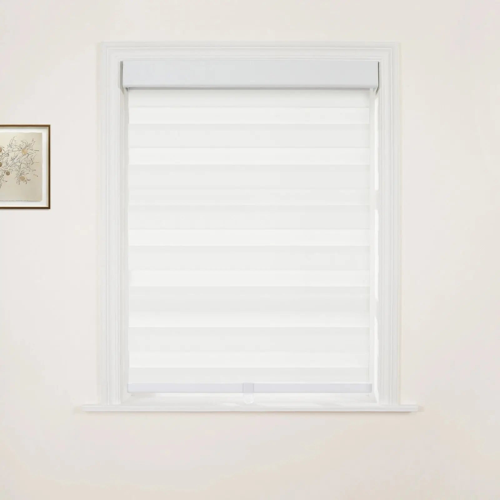 Brio Blackout Zebra Blind Cordless-?-TWOPAGES