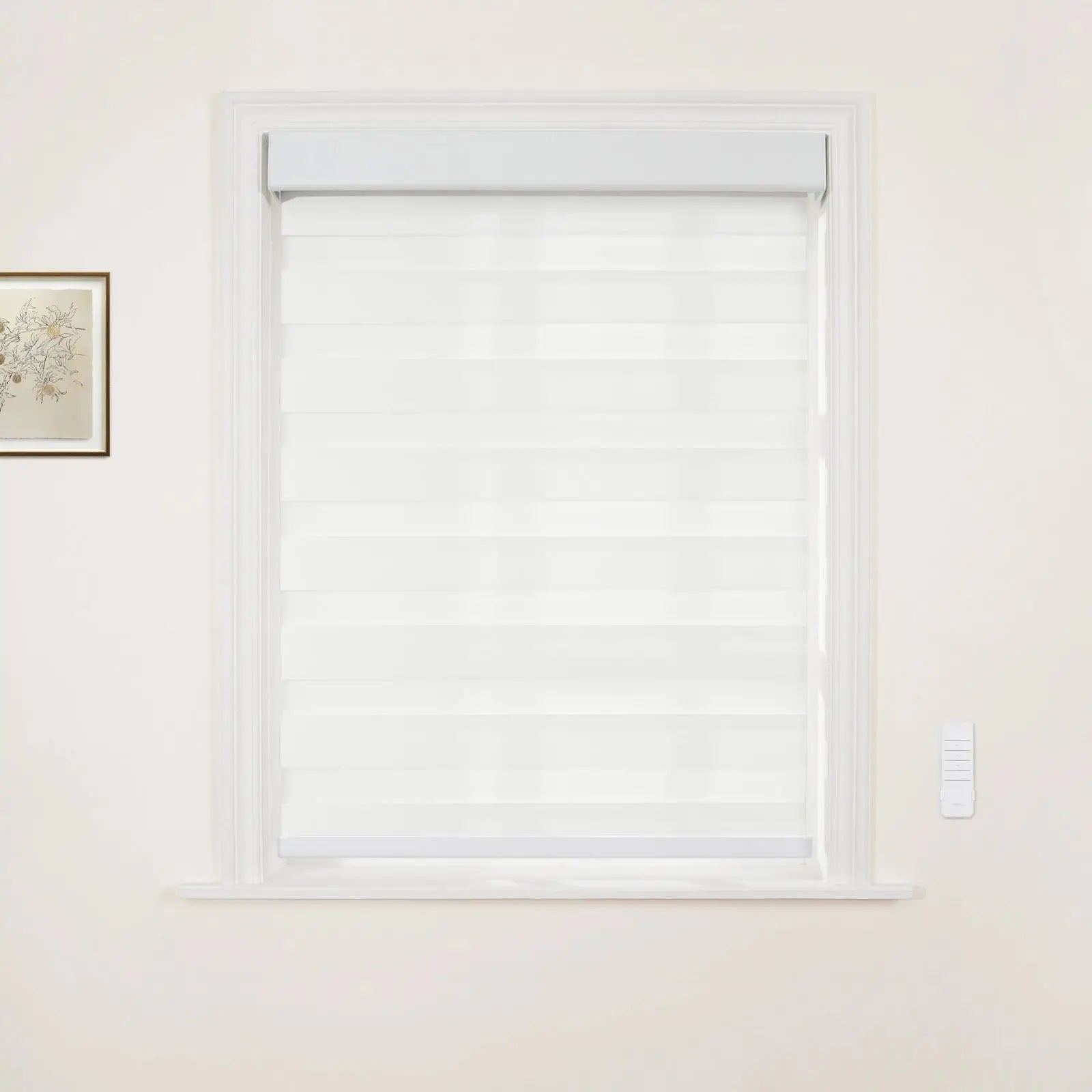 Brio Motorized Blackout Zebra Blind Cordless-?-TWOPAGES