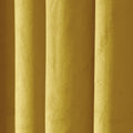 Birkin Velvet Curtain Pleated -TWOPAGES